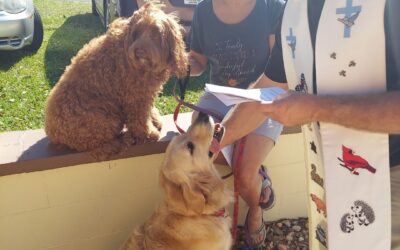 Blessing of the Animals Photos 2022